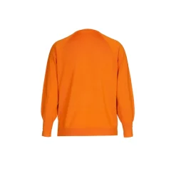 Pull van gerecycleerde wol
